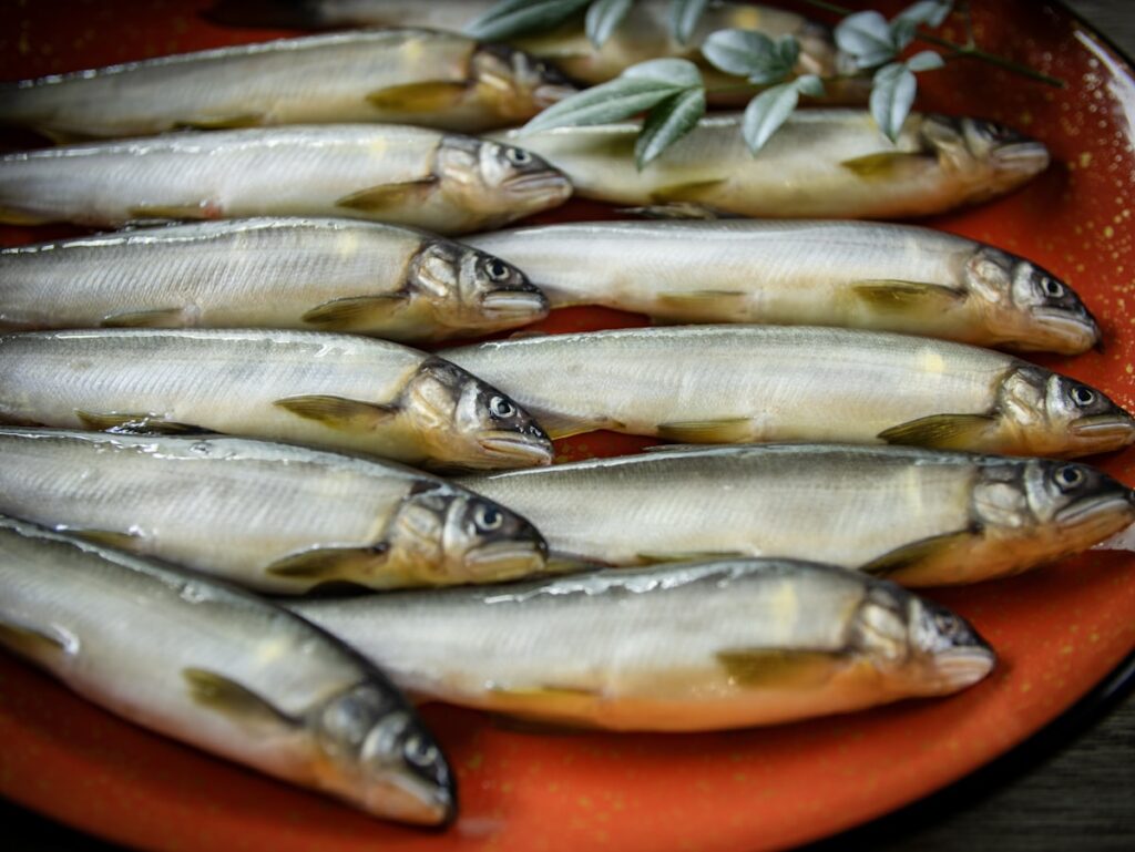 La Sagra del Pesce: una tradizione che vale un viaggio