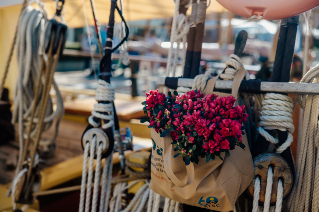 Yacht & Garden 2026