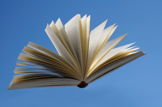 Il mare non ha colpe – Presentazione del libro di Paola Zagarella