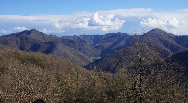 Cosa fare a Genova weekend 20-22 marzo 2026: Van Dyck, pesto e primavera