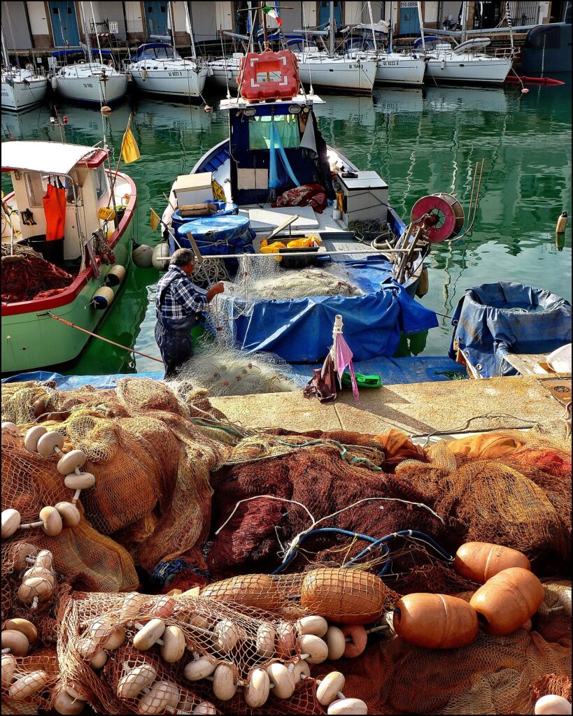 Gozzi, Tartane and Leudi: The Boats of Ligurian Maritime Memory