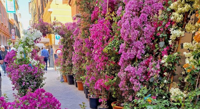 Chiavari in Bloom 2026