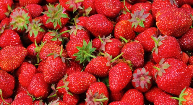 Strawberry Festival in Rossiglione