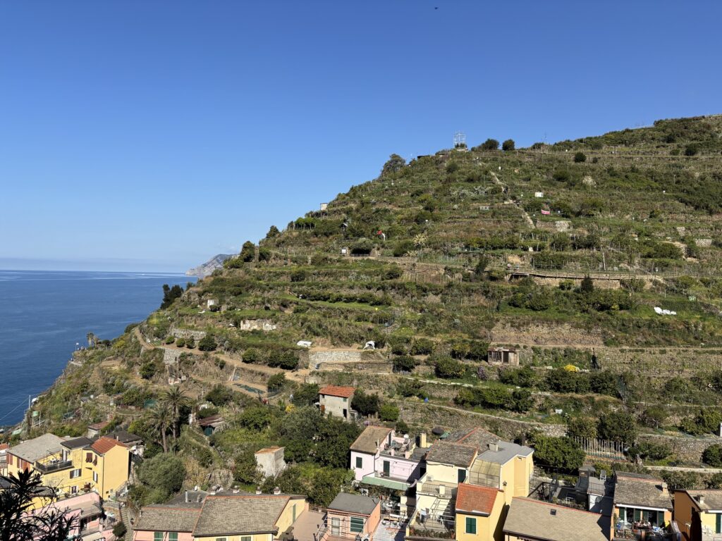 Terrazzamenti coltivati a vite sopra il borgo di Manarola, Cinque Terre, affacciati sul mare