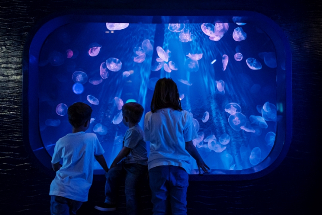 Summer at the Aquarium of Genoa