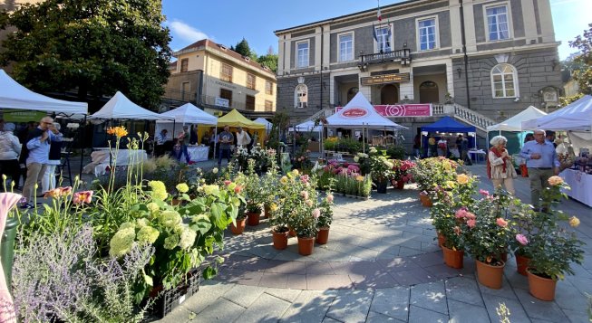 Rose Festival Busalla 2026
