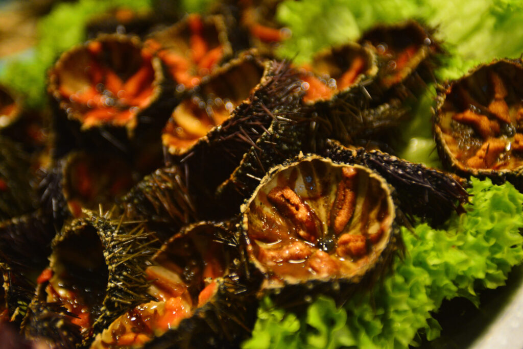 Ricci di mare aperti che mostrano la polpa arancione, la riccola genovese