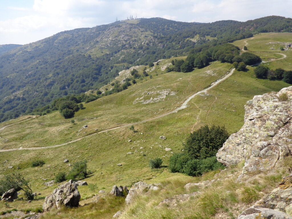 Ridge trail in the Ligurian-Piedmontese Apennines between meadows and beech woods