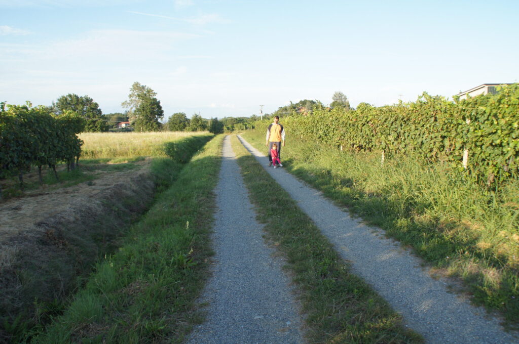 Gravel track through the Dolcetto d'Ovada vineyards at Rocca Grimalda