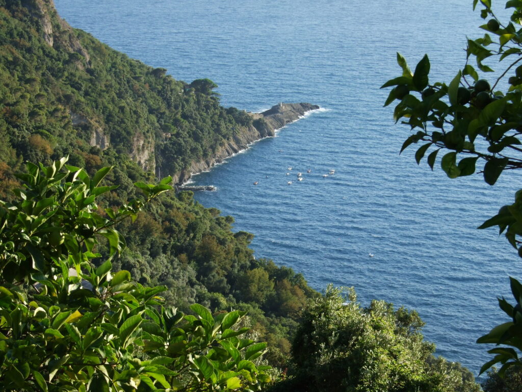 Punta Chiappa vista dal sentiero che scende da San Rocco di Camogli