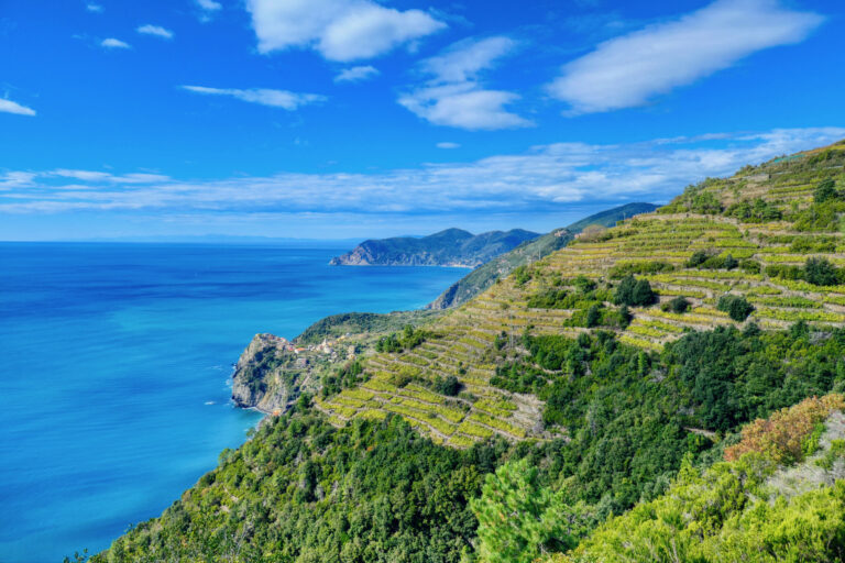 Vigneti terrazzati delle Cinque Terre a picco sul mare sopra Manarola